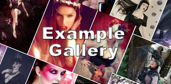 Example Gallery