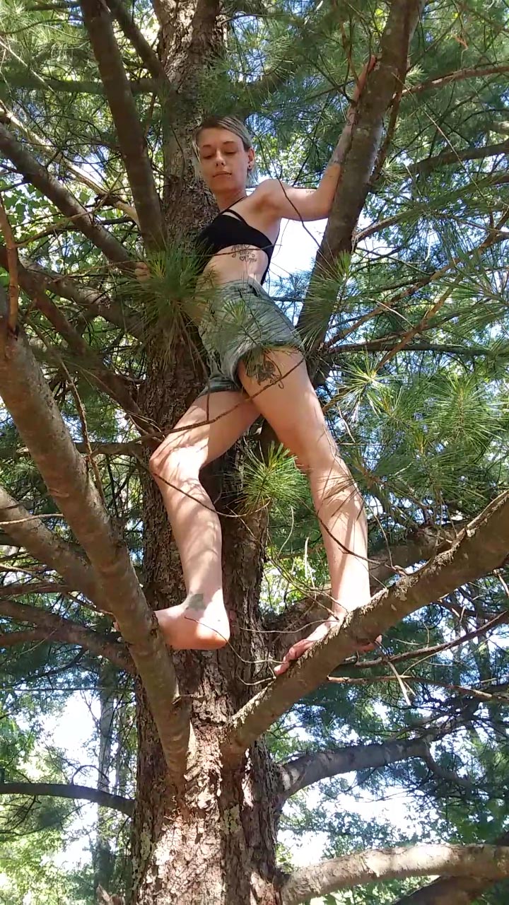 In The Trees 1