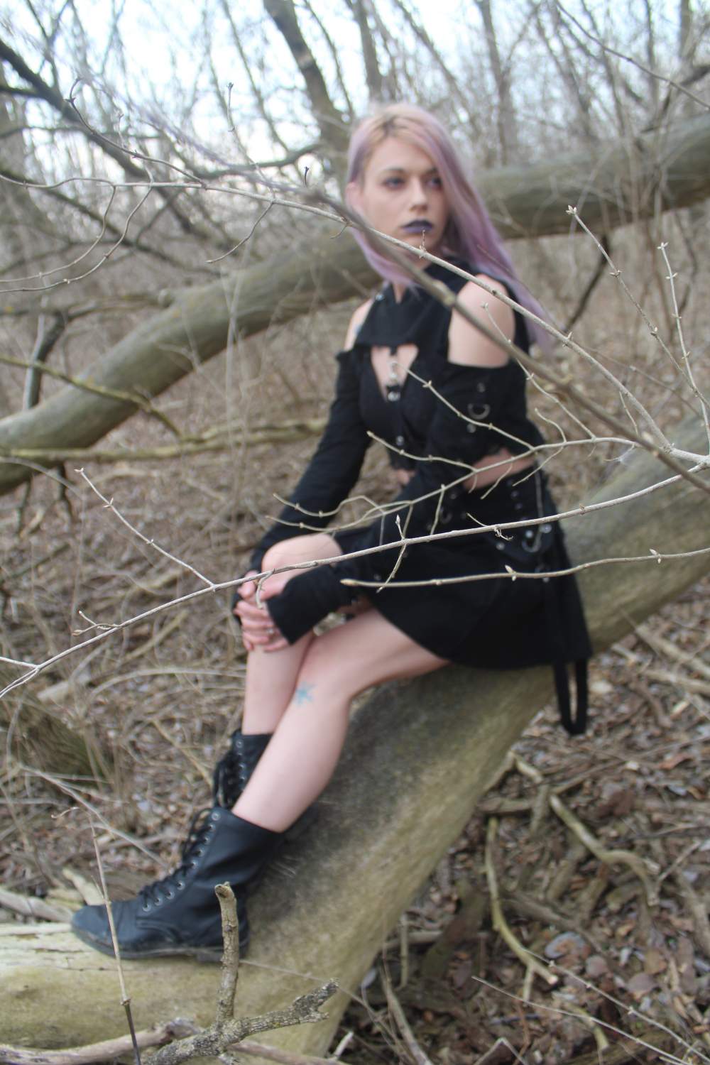 Witchy Woods 8